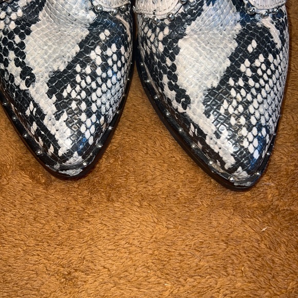 Steve Madden - Humble booties - Picture 6 of 6